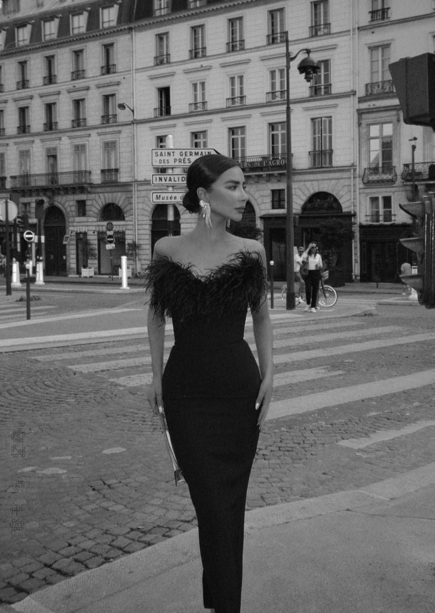 ZOSIA | NOIR FEATHER GOWN